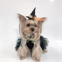 犬服オーダー★カラフルバレリーナハロウィンドレス★ 2枚目の画像