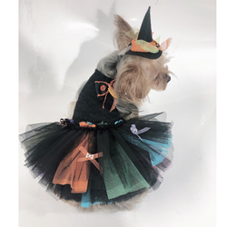 犬服オーダー★カラフルバレリーナハロウィンドレス★ 3枚目の画像