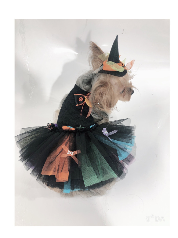 犬服オーダー★カラフルバレリーナハロウィンドレス★ 3枚目の画像