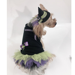 犬服オーダー★ハロウィンカラフルフワフワワンピース★ 3枚目の画像