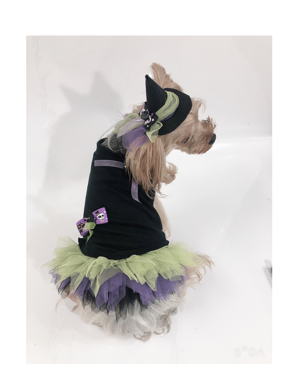 犬服オーダー★ハロウィンカラフルフワフワワンピース★ 3枚目の画像