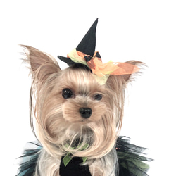 犬リボン★ハロウィンフェルトハット★　Sサイズ 2枚目の画像