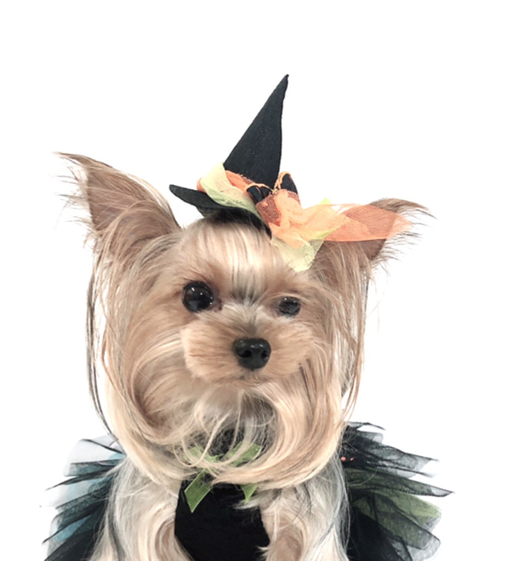 犬リボン★ハロウィンフェルトハット★　Sサイズ 2枚目の画像