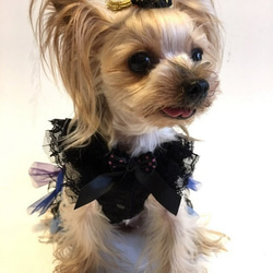 犬服オーダー★ハロウィン魔女カラフルスカートワンピース★ 2枚目の画像