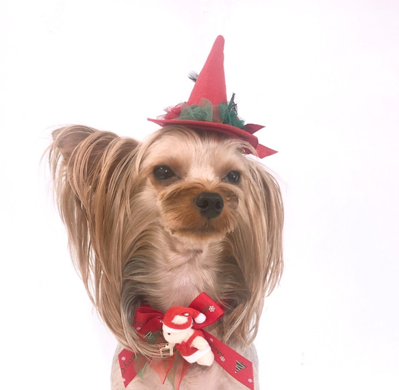犬アクセサリー　★クリスマスとんがり帽子　Ｌ★ 1枚目の画像