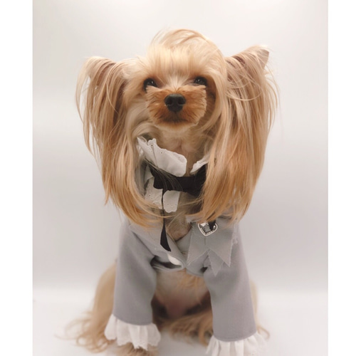 重ね着風ドールワンピース/犬服/犬服ハンドメイド