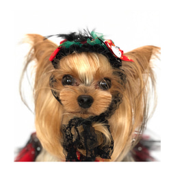 犬アクセサリー★クリスマスヘッドドレス★ 1枚目の画像