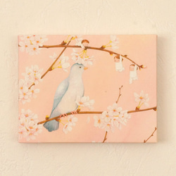 繪畫板：Sakura Kanmuri 第2張的照片