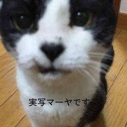 cat hand☆マーヤの手☆携帯クリーナーストラップ 5枚目の画像