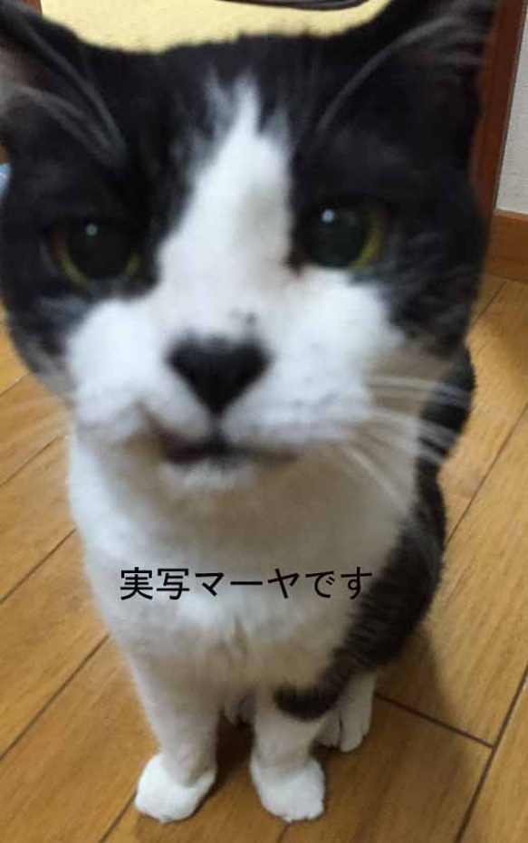 cat hand☆マーヤの手☆携帯クリーナーストラップ 5枚目の画像