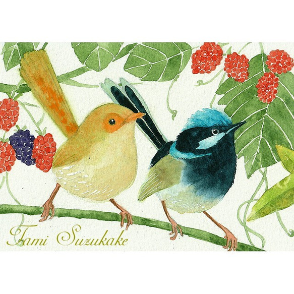 水彩画・原画「小鳥と木の実」 1枚目の画像