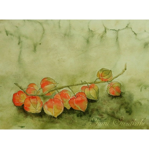 激安通販特集！ 絵画 水彩画・原画「ほおずき」 tami 10494578 通販 suzukake 絵画+タペストリー