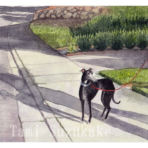 水彩画・原画「犬と影」 1枚目の画像