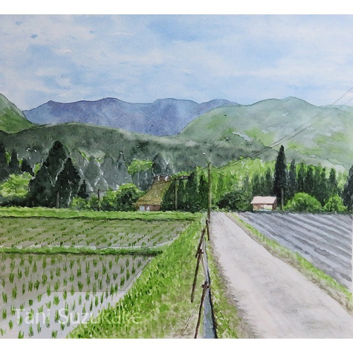 水彩画・原画「田んぼのある風景・京都、南丹市」 絵画 tami