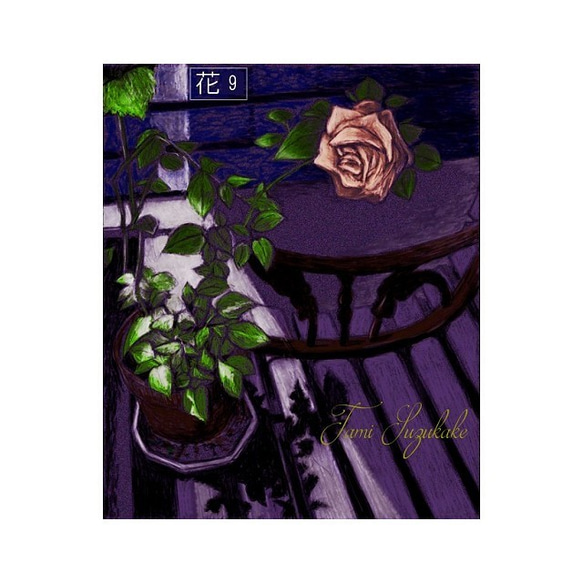 「薔薇の花々」アートカード選べる2枚セット（はがきサイズ） 8枚目の画像
