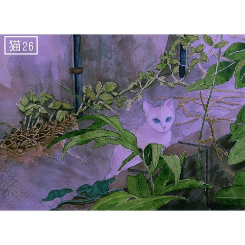 風景画 黒猫と庭のアート 風景画 黒猫と庭のアート 風景画 黒猫と庭のアート