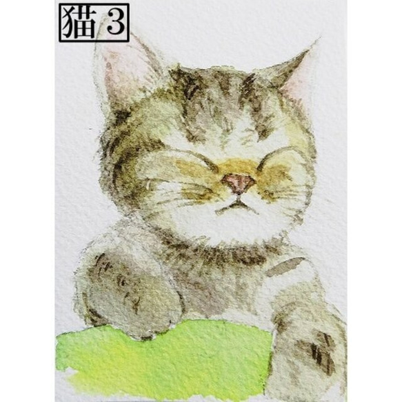 「かわいい猫」アートカード選べる2枚セット（はがきサイズ） 4枚目の画像