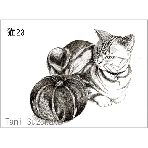 かわいい猫」アートカード選べる2枚セット（はがきサイズ） 絵画
