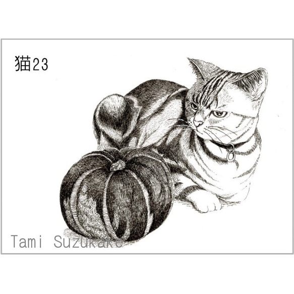 「かわいい猫」アートカード選べる2枚セット（はがきサイズ） 9枚目の画像