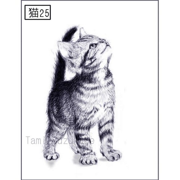 「かわいい猫」アートカード選べる2枚セット（はがきサイズ） 10枚目の画像