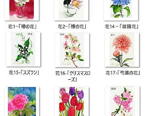 はだけてるばあさんカード Amazon | Stuff4 素晴らしい24歳の誕生日カード 孫用 - 24 Today