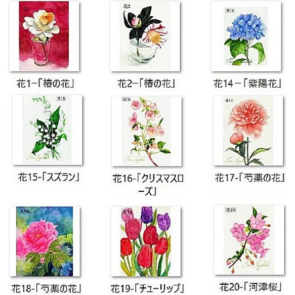 美しい花々」アートカード選べる2枚セット（はがきサイズ） 絵画 tami