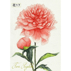 「美しい花々」アートカード選べる2枚セット（はがきサイズ） 7枚目の画像