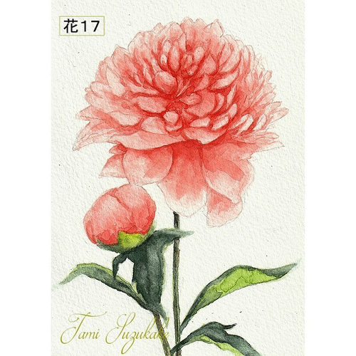 美しい花々」アートカード選べる2枚セット（はがきサイズ） 絵画