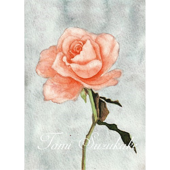 水彩画（原画）「薔薇の花」 1枚目の画像
