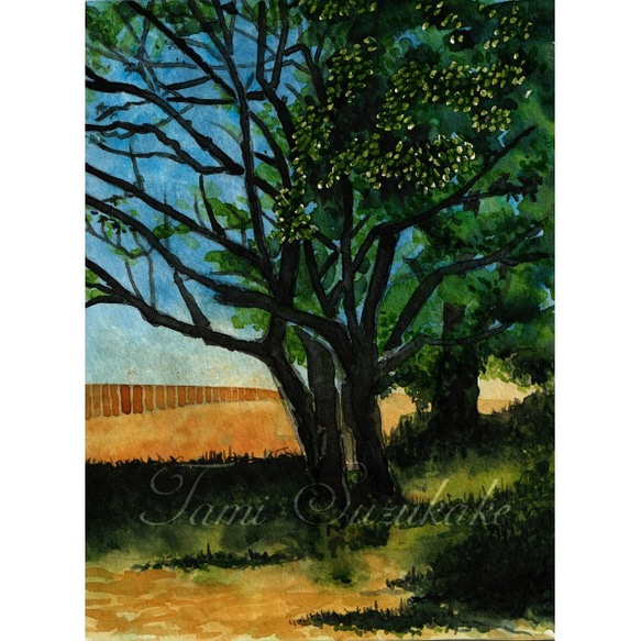 水彩画・原画「樹木のある風景」 1枚目の画像