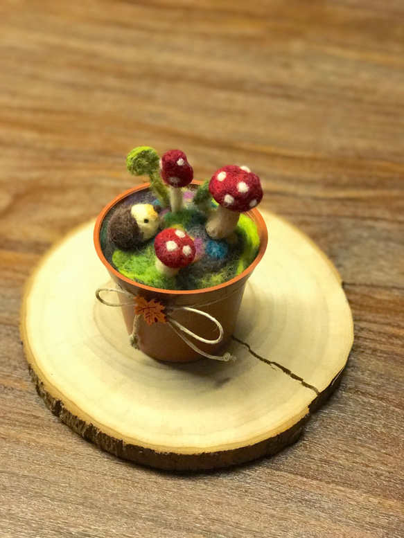治療的な願いは小さな鉢植えのキノコ、手作りのウールフェルト（Hedgehog / Rabbitシリーズ） 2枚目の画像