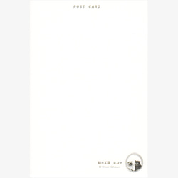 ポストカードセット　虹色ｳｫｰﾀｰｽﾗｲﾀﾞｰ 2枚目の画像