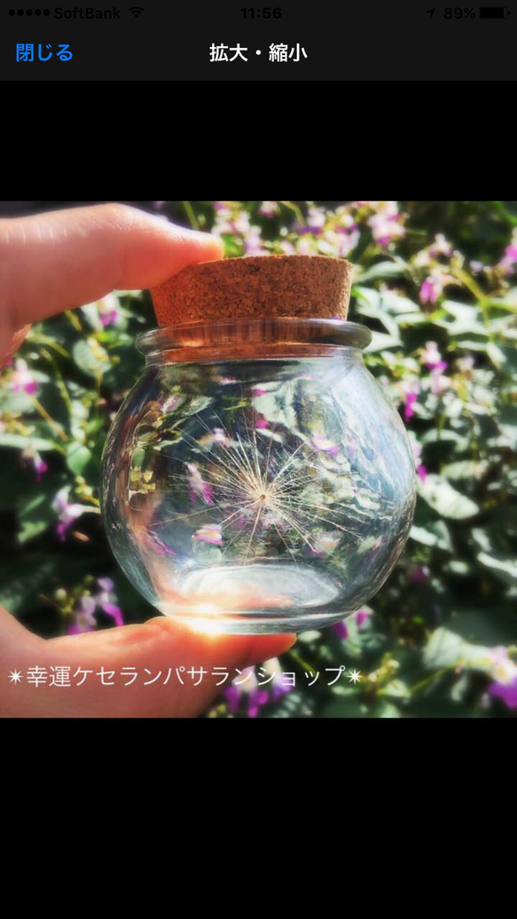 厳選美品☆開運 ケサランパサラン 送料無料 その他インテリア雑貨 幸せ