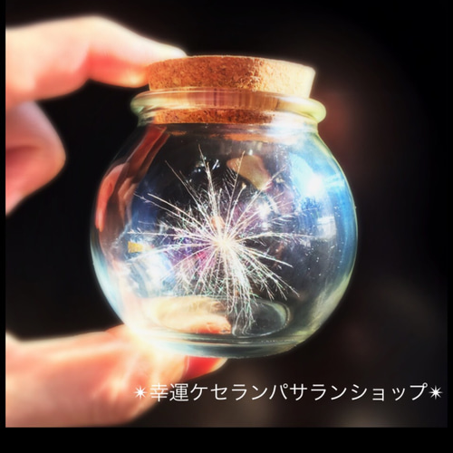 厳選美品☆開運 ケセランパサラン その他インテリア雑貨 幸せ