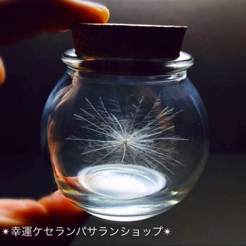 厳選美品☆開運 ケセランパサラン その他インテリア雑貨 幸せケサラン