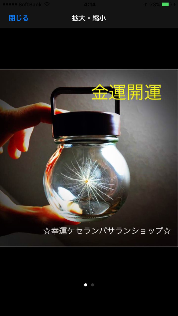 厳選美品☆開運 ケセランパサラン ガラス丸瓶付 その他インテリア雑貨