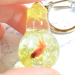 ☆夏の新作☆電球型の金魚と水草のキーホルダー 7枚目の画像