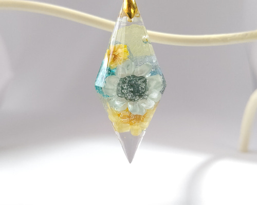 1_090525284871b4de0a1ecd8ed57f