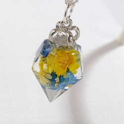 黄色とキャンディーブルーのスターフラワーのドライフラワーのダイヤモンド型レジンのネックレス 6枚目の画像
