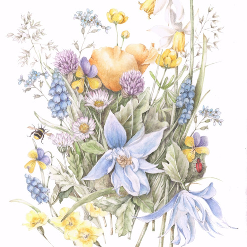 楽天市場】絵画 現代日本画 花鳥画 春飾り 桃花に小鳥 緒方葉水