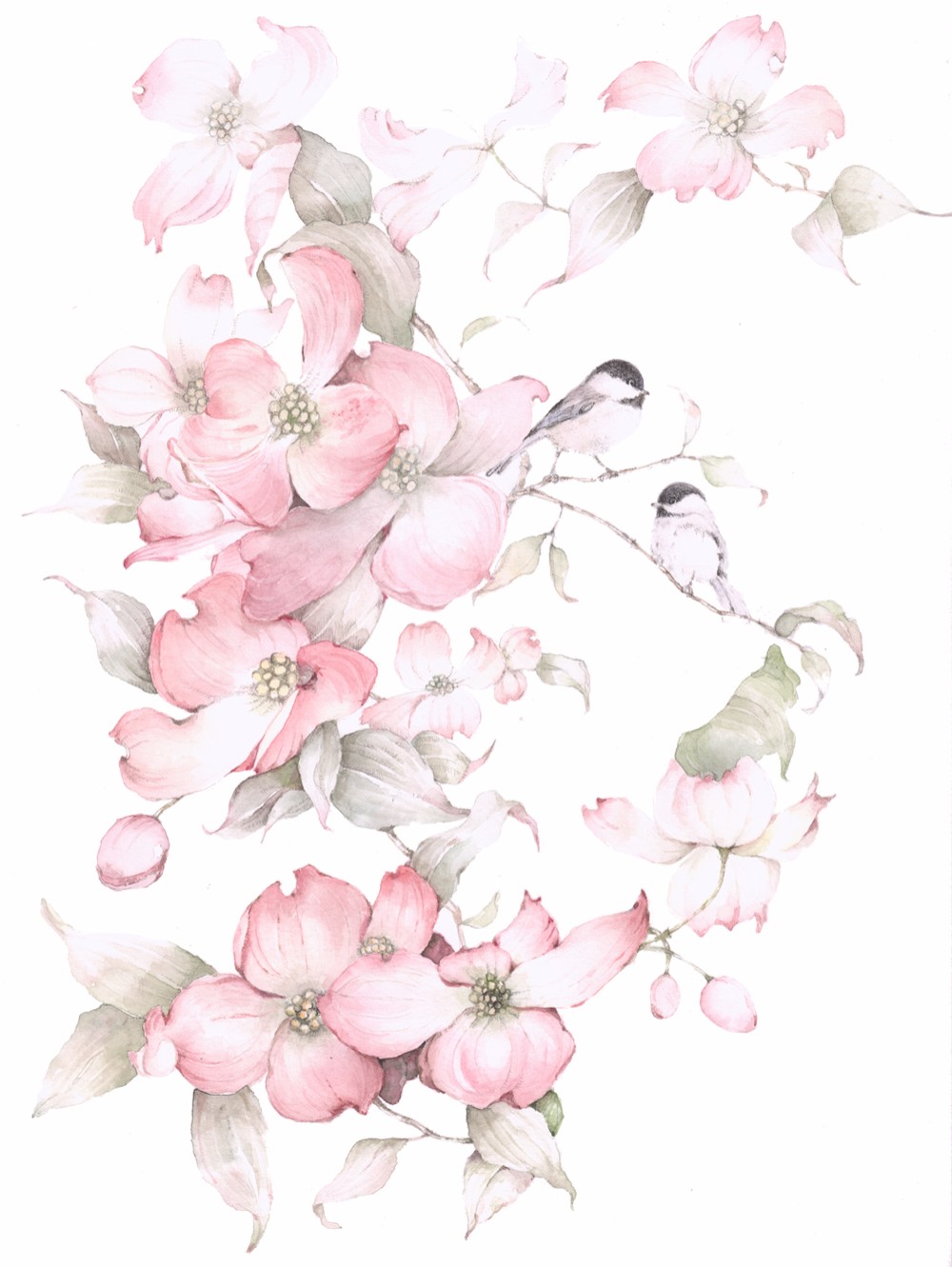 水彩画 花 ピンク系 優しい花の水彩画ー春の花、ピンクのハナミズキとコガラ 絵画 なお子