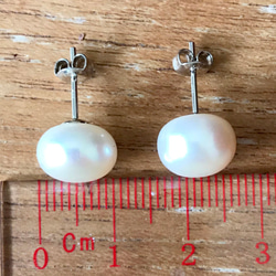 共鳴 - 11mm 薯仔形 白色 珍珠 純銀 電18K 白金 耳針 耳環 第6張的照片