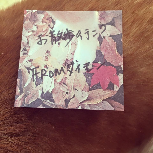 Shiba-Inu Daimon Mini CaRd ★柴犬　ダイモン　ミニカード　28枚入り 3枚目の画像