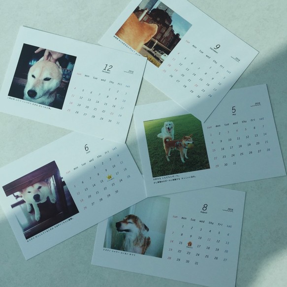 Shiba-Inu Daimon calendar 2016★4月始まり 柴犬ダイモンカレンダー 1枚目の画像