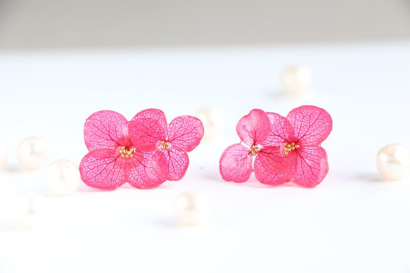 14kgf-Vivid pink hydrangea 耳環 第1張的照片