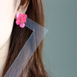 14kgf-Vivid pink hydrangea 耳環 第2張的照片