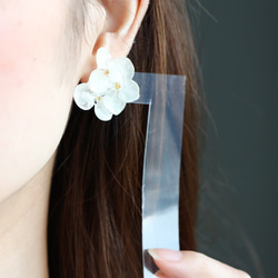 14kgf- white hydrangea asymmetry 耳環 第2張的照片