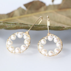 14kgf-freshwater pearl stylish pierced earrings 第2張的照片