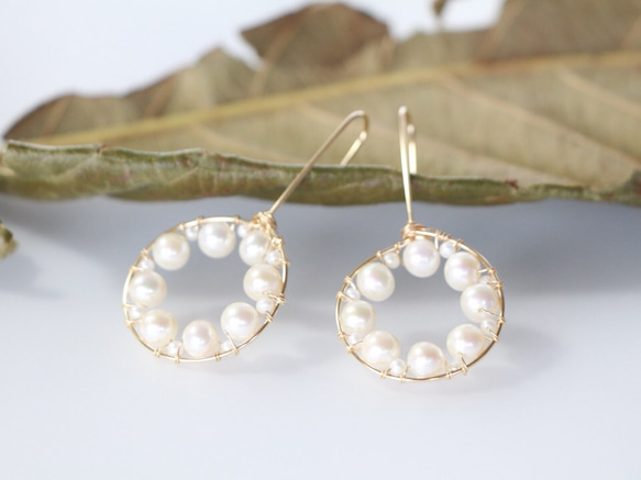 14kgf-freshwater pearl stylish pierced earrings 第2張的照片