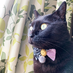 猫＆小型犬用 リボン首輪 (高級ボタン＆ポンポン付き)　ブラック×ライトグリーン 3枚目の画像